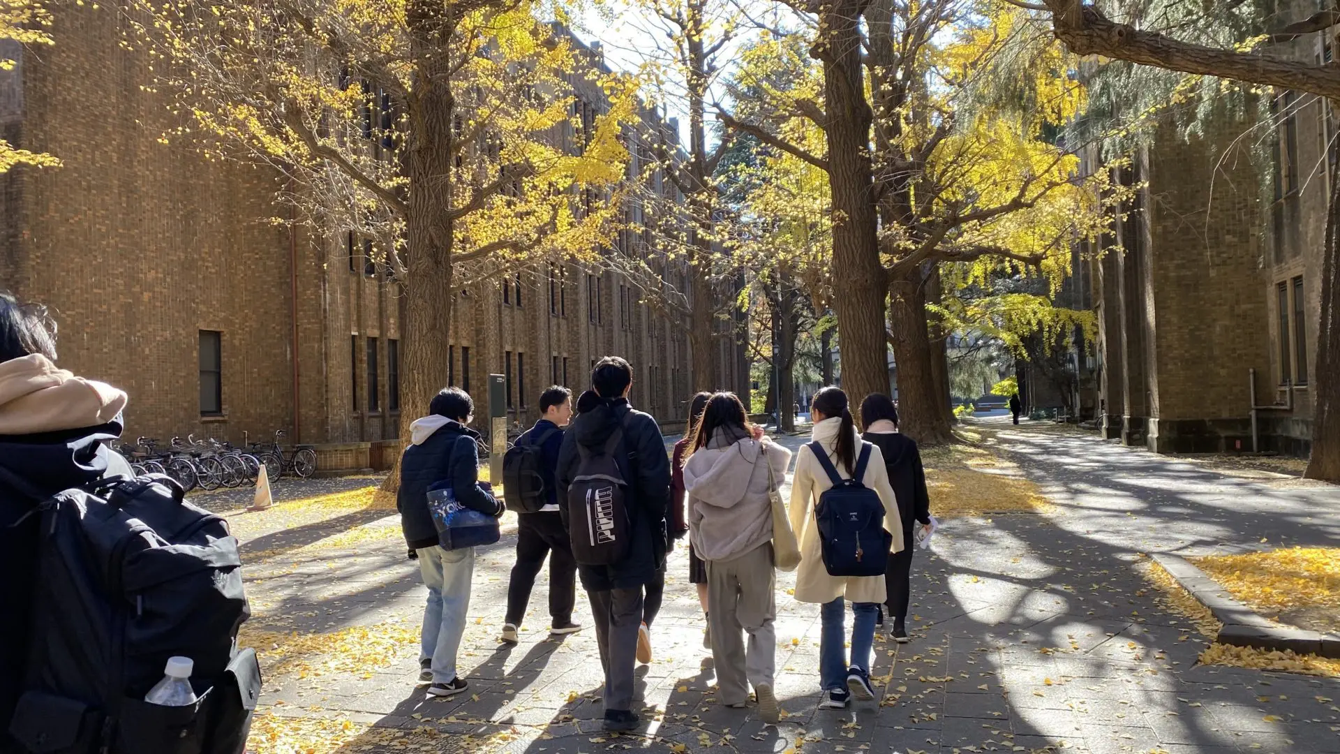 キャンパスツアーの様子